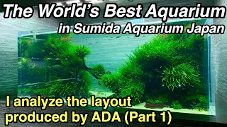 ADA Planted Aquarium You Can Visit! Breaking Down Sumida Aquarium’s Nature Aquarium (Part 1) Plants