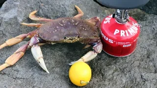 The ONLY Way to Eat Delicious Dungeness Crab