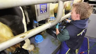 50 Unit Rotary Milking Parlour - Kraaijenbrink The Netherlands