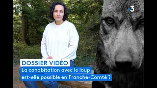 En Franche-Comté, la cohabitation entre élevage et loups est-elle possible ?