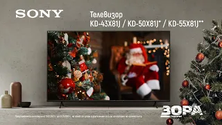 Телевизор Sony X81J в ЗОРА