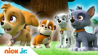 Щенячий патруль | Щенки на помощь! 20-минутная подборока | Nick Jr. Россия