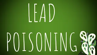 Toxicology- Lead Metallic Poisoning MADE EASY!