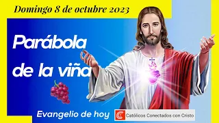🚀 PARÁBOLA DE LA VIÑA 🍇 Evangelio de hoy 📖 domingo 8 de octubre de 2023 🔥