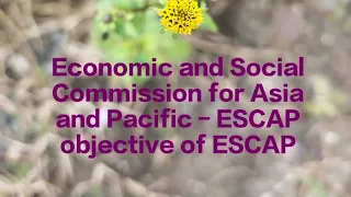 Economic and Social commission for Asia and Pacific (ESCAP) Objectives, parts, purpose & importance.