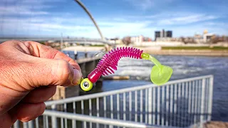 This TINY SWIMBAIT Caught A FISH OF A LIFETIME!!! (Downtown Spillway Fishing)