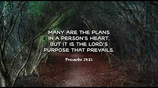 Trusting God's Plan: A Guided Meditation on Proverbs 19:21