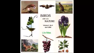 Birds and All Nature, Vol. V, No 4, April 1899 (FULL Audiobook)