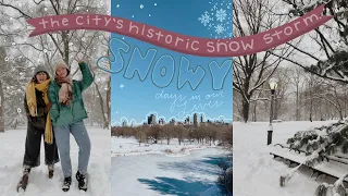 nyc snow days in our life: the city's historic snow storm, central park + our trader joe's haul 🌨