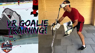 Sense Arena: Virtual Reality Hockey Goalie Training Review