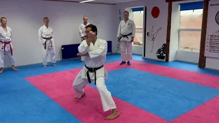 Tekki Sandan - Ideas on Bunkai