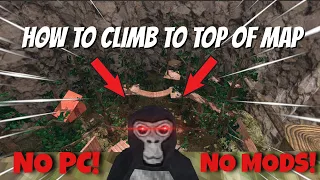How to Get on Top of The Map!! (EASY) (Gorilla Tag) NO MODS!