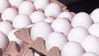 Ценники на куриные яйца перед Пасхой промониторили сотрудники регионального УФАС  - Абакан 24