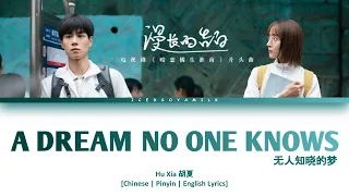 [CHI/PYN/ENG] Hu Xia 胡夏《A Dream No One Knows 无人知晓的梦》【Unrequited Love OST 暗恋橘生淮南】