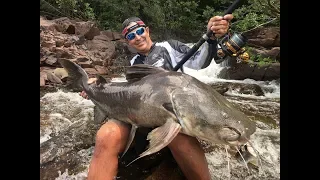 PEIXES DE COURO COM MOLINETE  - SURPREENDA-SE  E APRENDA