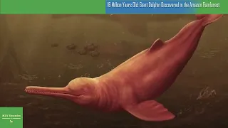 16 Million Years Old Giant Dolphin Discovered in the Amazon Rainforest