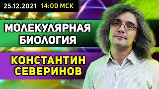 Константин Северинов. Молекулярная биология. Lost  in translation: Генетический код/синтез белка