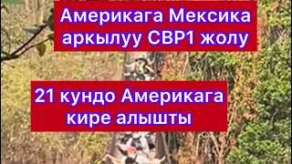 Мексика / Кыргыз паспорт СШАга  отуу / СBP 1 жок кандай отуп калышты / 21 кундо Америкага кируу