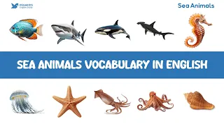 Sea Animals Vocabulary in English | Kids English #english #englishvocabulary