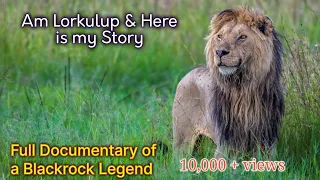 Lorkulup - An Epic story of a Lion Brother from Blackrock Pride who is now a Rongai.