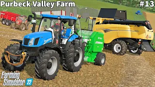 Feeding Calves, New Holland 2K24 To Harvest Barley│Purbeck Valley│FS 22│Timelapse#13