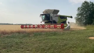 Harvest 2023 with huge Claas Lexion 8900 and big Claas Lexion 780