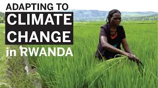 Adapting to Climate Change in Rwanda