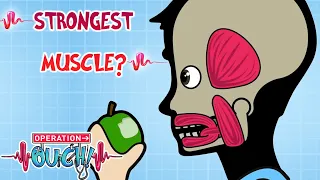 What Is the Strongest MUSCLE in Your Body? 💪 | Science for Kids | @OperationOuch