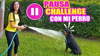 PAUSE CHALLENGE WITH MY DOG! 24 HOURS PLAYING THE PAUSE CHALLENGE - SandraCires Art