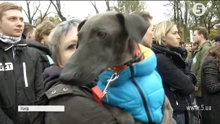 Проти цирку та хутра. Марш за права тварин у Києві