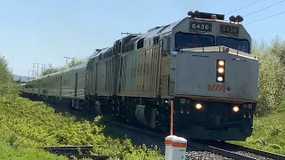 VIA Rail The Ocean Passing Amherst, Nova Scotia (EMD F40PH-D2, British Rail Mk 4 Renaissance)