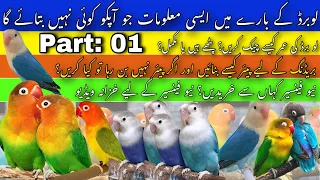 Lovebirds Technical Information: How to Pair | How to Breed | How to check Age | Part 01