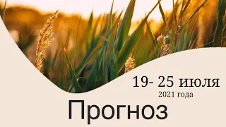 Гороскоп недели 19 - 25  июля.  #гороскоп#июль  #прогноз#