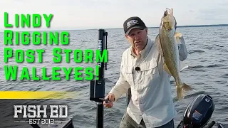 How To Target Post Storm Walleyes on Lindy Rigs - Fish Ed