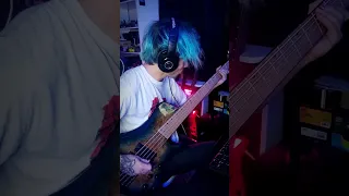 30 SECONDS TO MARS | BASS / GUITAR COVER | STYFLER FONSEK & DANI GUTIERREZ