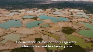 Together Against Conservation Crimes in the Amazon