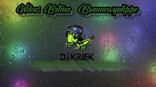Wikus Botma - Brannewyn Lippe (DJ Kriek Remix)