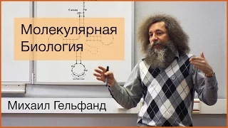 [Коллоквиум]: Все, что вы хотели знать про молекулярную биологию, но не удосужились спросить