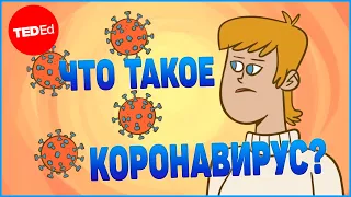 Что такое коронавирус? | TED-Ed