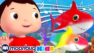 Rainbow Color BABY SHARK Song! | Little Baby Bum: Nursery Rhymes & Baby Songs | ABCs 123s | Moonbug