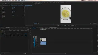 How to Export Vertical Video in Adobe Premiere Pro