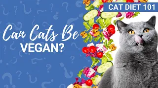 Can Cats Be Vegan? Cat expert explains!