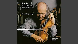 Violin Partita No. 2 in D Minor, BWV 1004: V. Ciaccona