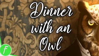 Dinner With An Owl FULL WALKTHROUGH Gameplay HD (PC) | NO COMMENTARY