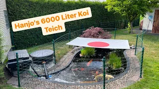 Hanjo’s 6000 Liter Koi Teich. Klein aber fein!!
