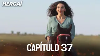 Hercai em Português - Capítulo 37