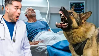 Dog Prevents Owner From Being Taken off Life Support. The Reason Will Make You Cry