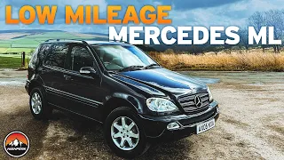 I BOUGHT A LOW MILEAGE MERCEDES ML