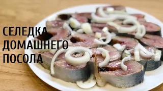 СЕЛЕДКА домашнего посола. Как засолить селедку дома?