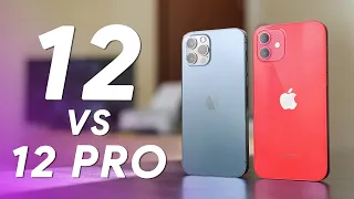 HA SENSO IPHONE 12 PRO? - Confronto VS Apple iPhone 12